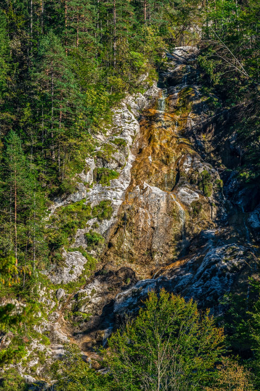 Creek flowing over rocks in mountains, small waterfall, Palenk waterfall in Logarska valley, Slovenia, alpine creek cascading over rocks