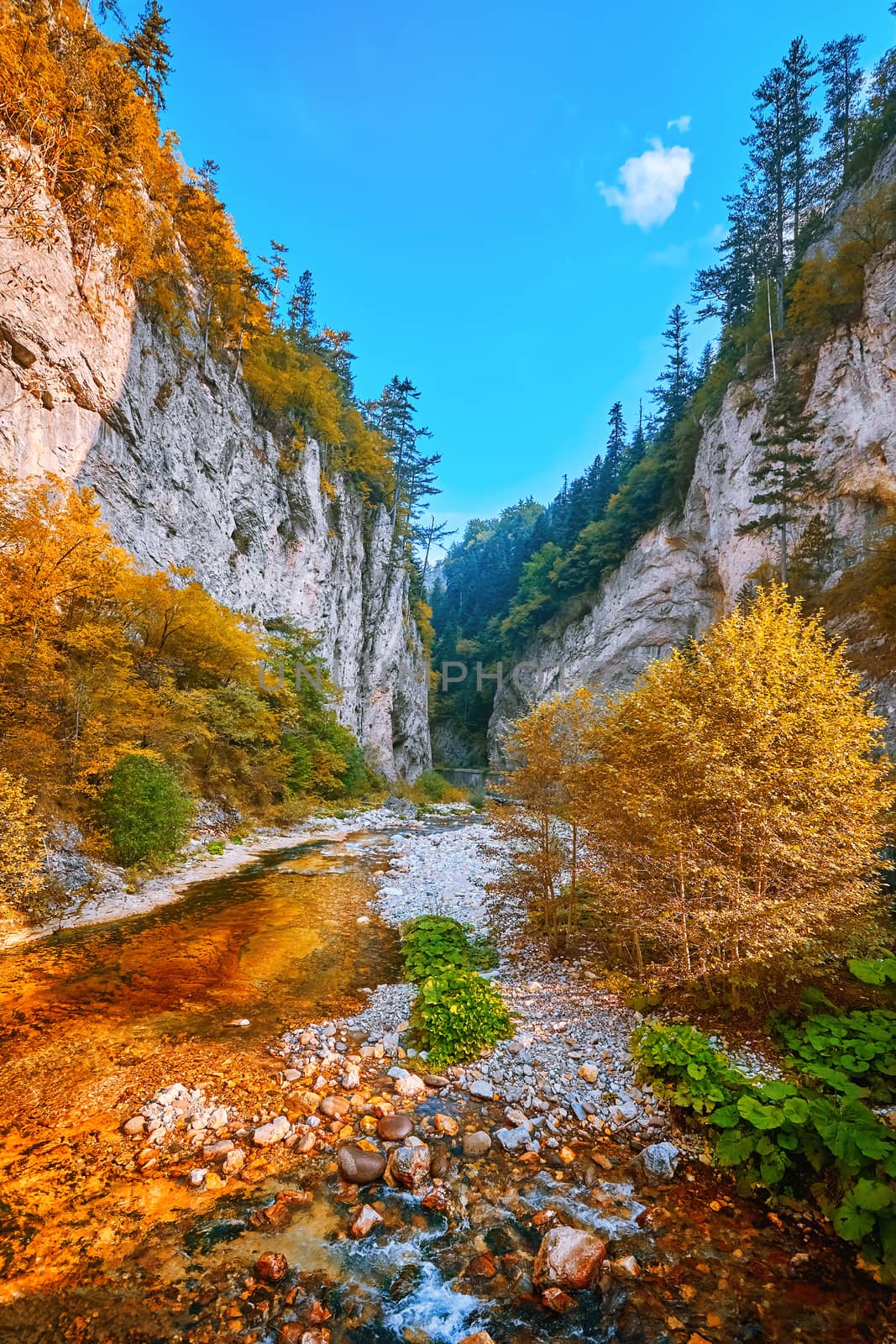 The Devin River Valley in the Western Rhodopes