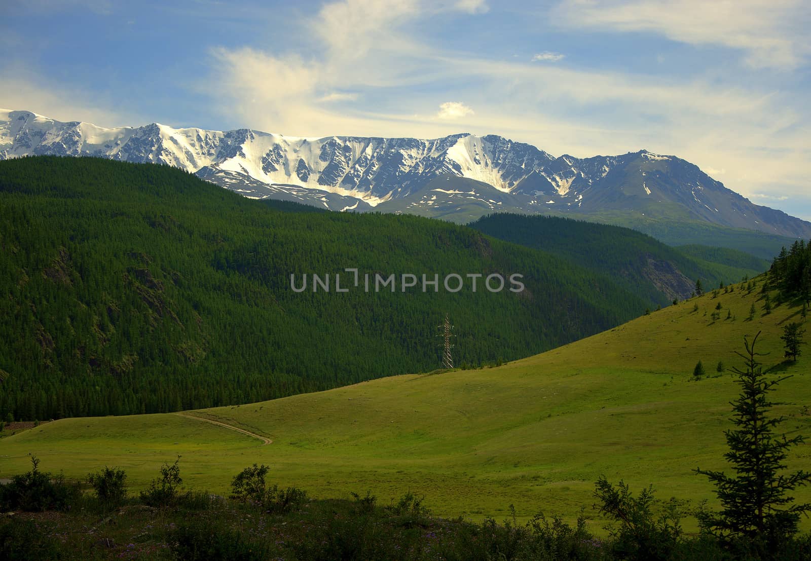 A fertile pasture in a valley near the slopes of a green hill and snow caps of mountain peaks in the background. North Kurai Range, Altai, Siberia, Russia.