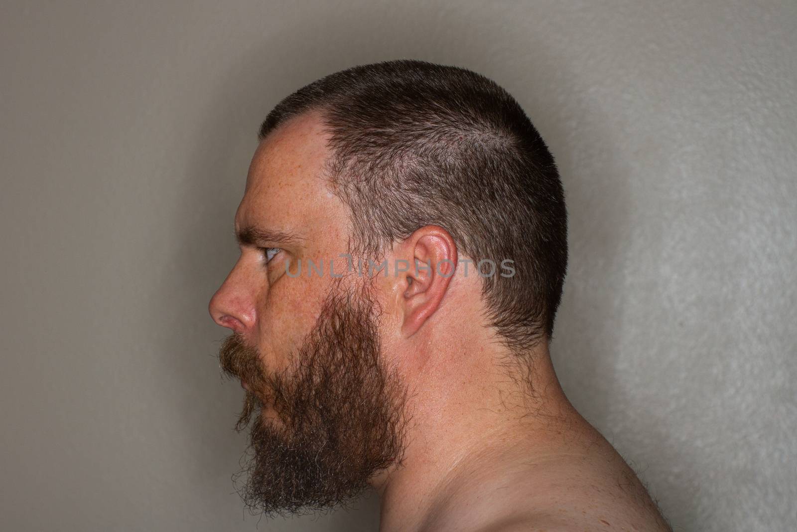 profile view of a bearded topless man looking