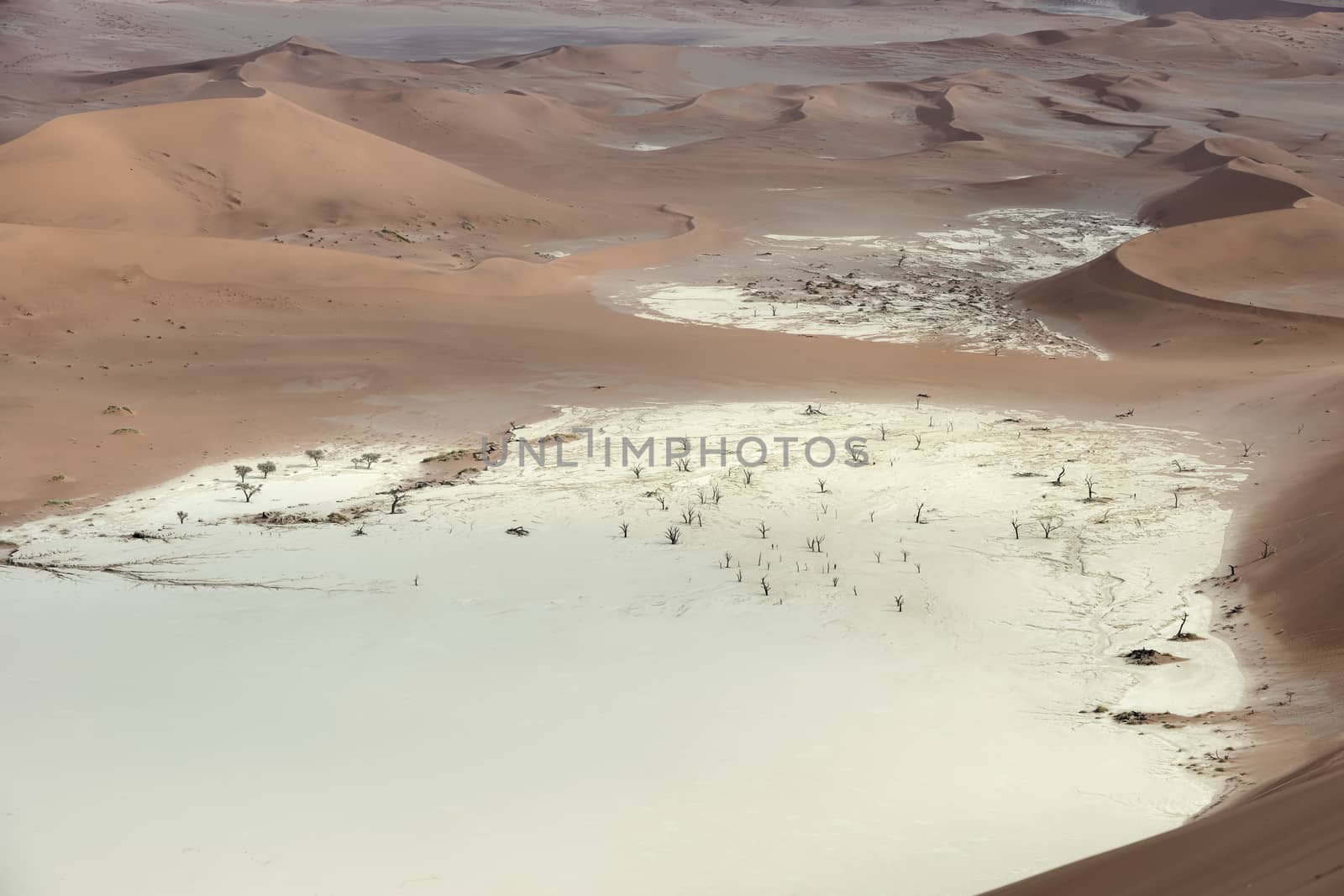 Colorful sand dunes with beautiful patterns and ripples in the Namib-Naukluft National Park, Namibia