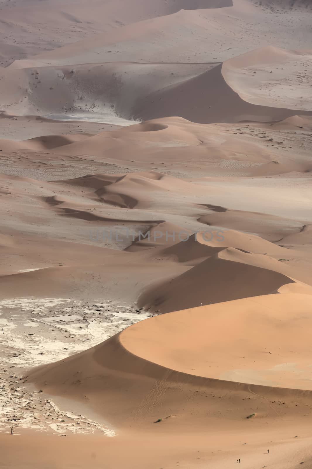 People walking in the beautiful orange and red-brown sand dunes near Deadvlei in the Namib-Naukluft National Park, Namibia