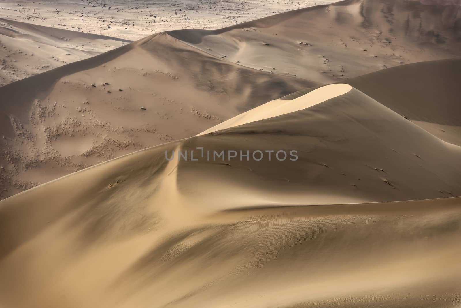 Colorful sand dunes with beautiful patterns and ripples in the Namib-Naukluft National Park, Namibia