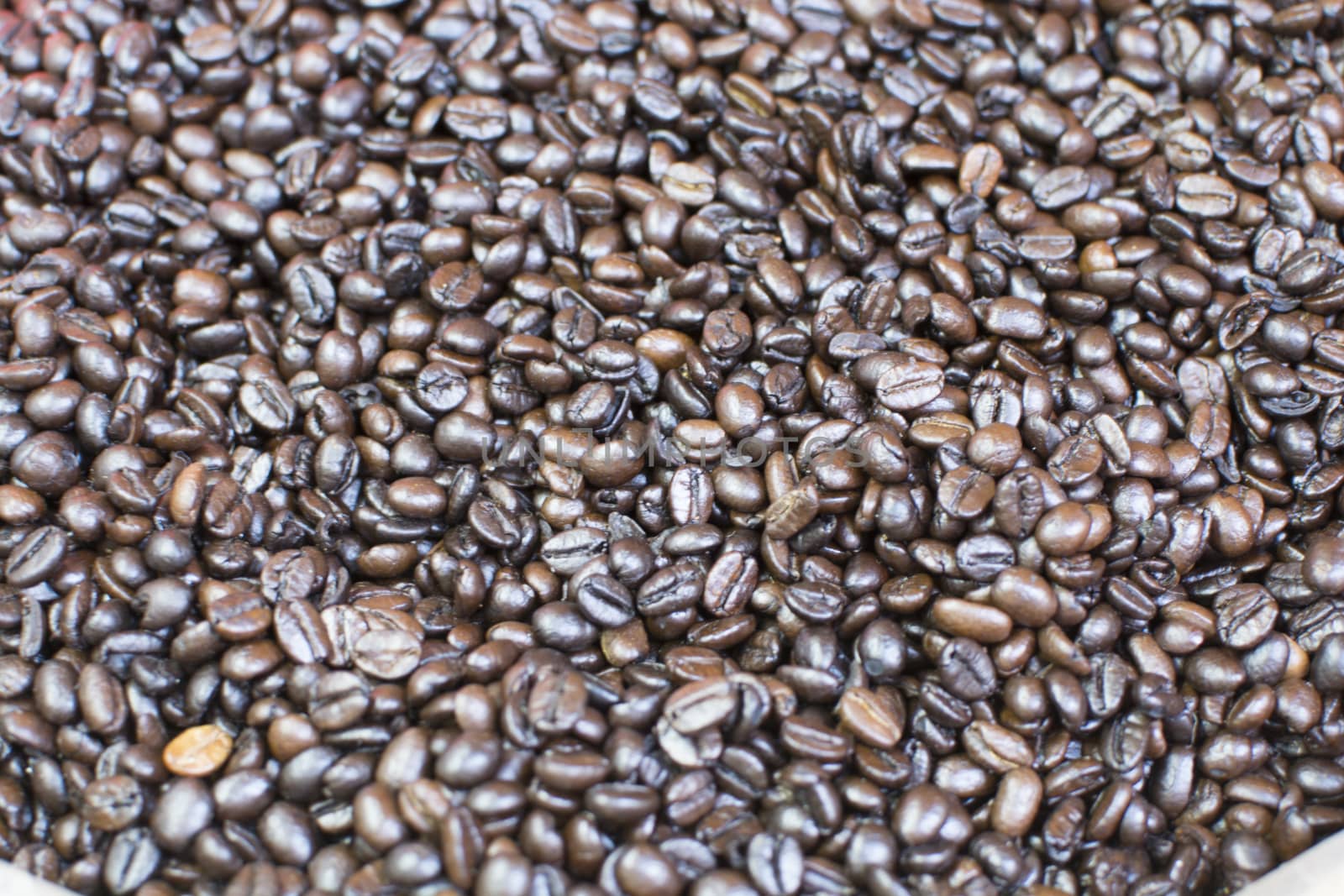 Arabica coffee beans.Dark roast roasted