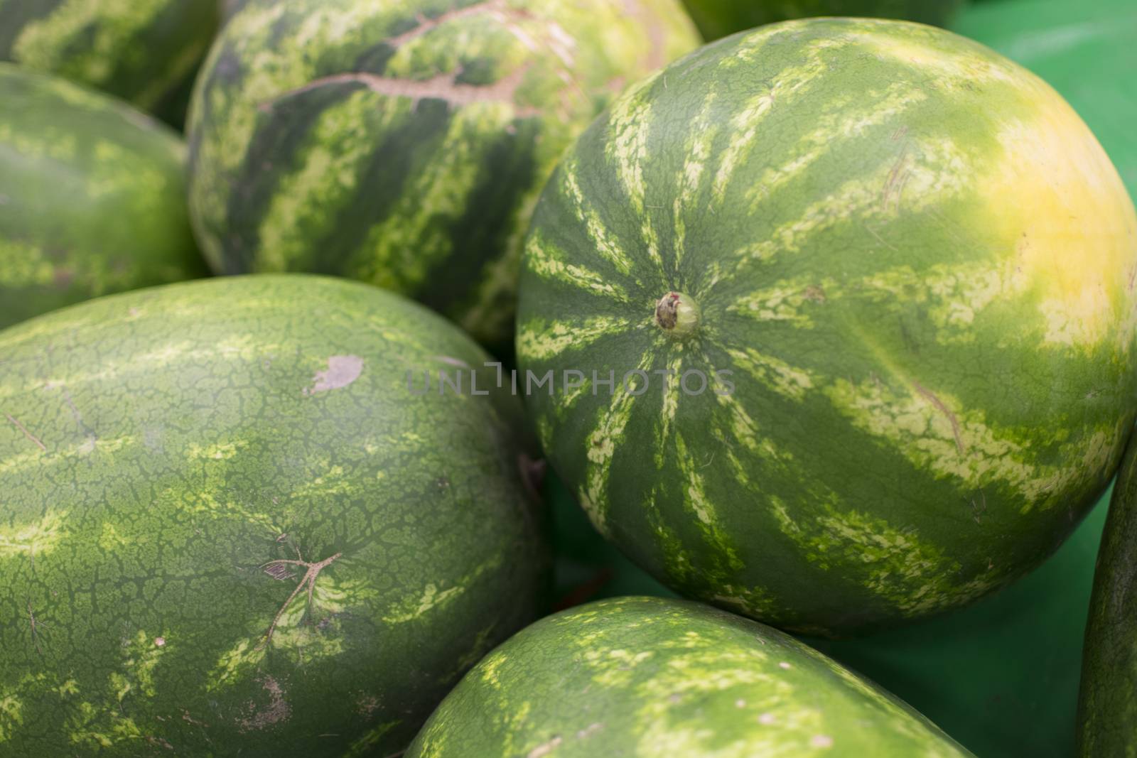 Summer's favorite fruit. Turkey is mostly grown in the city of diyarbakır and adana.