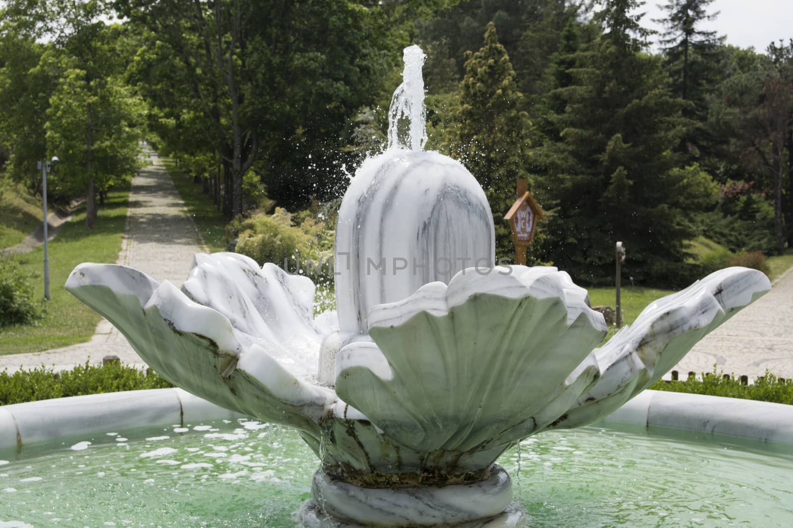 Made of marble, flower decoration water fountain