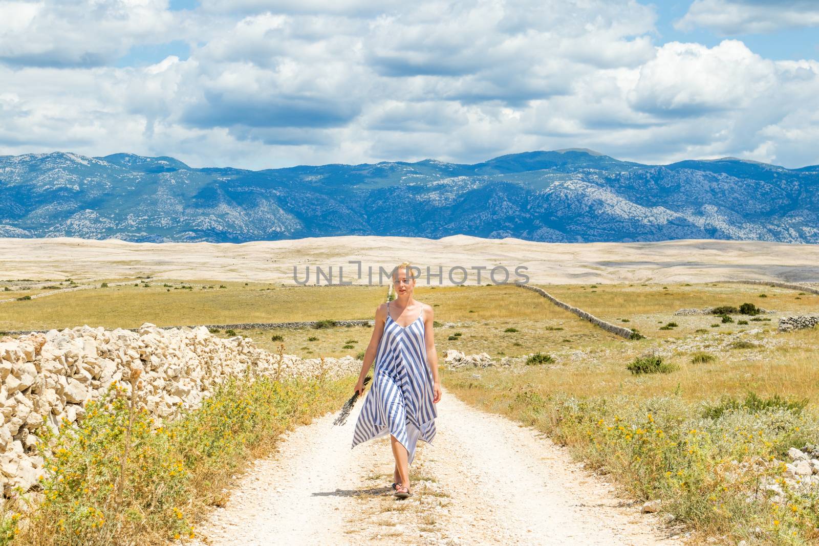 Caucasian young woman in summer dress holding bouquet of lavender flowers while walking outdoor through dry rocky Mediterranean Croatian coast lanscape on Pag island in summertime.