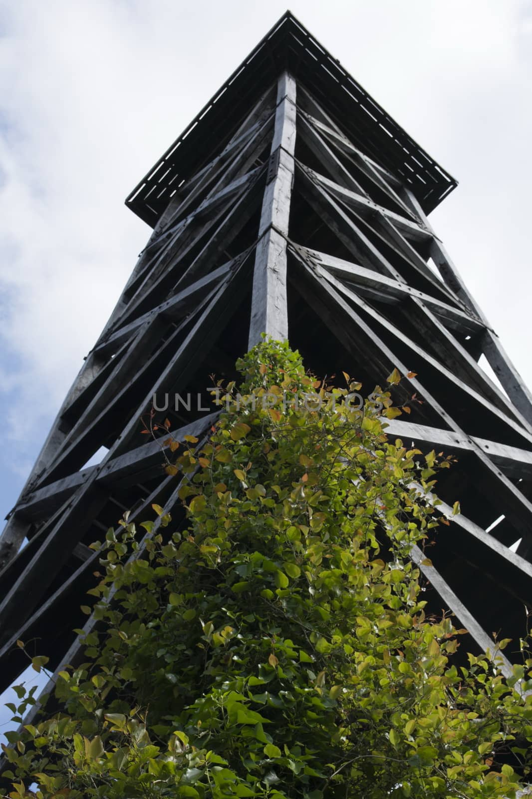 Watch tower made of wood. unavailable. Abandoned dangerous