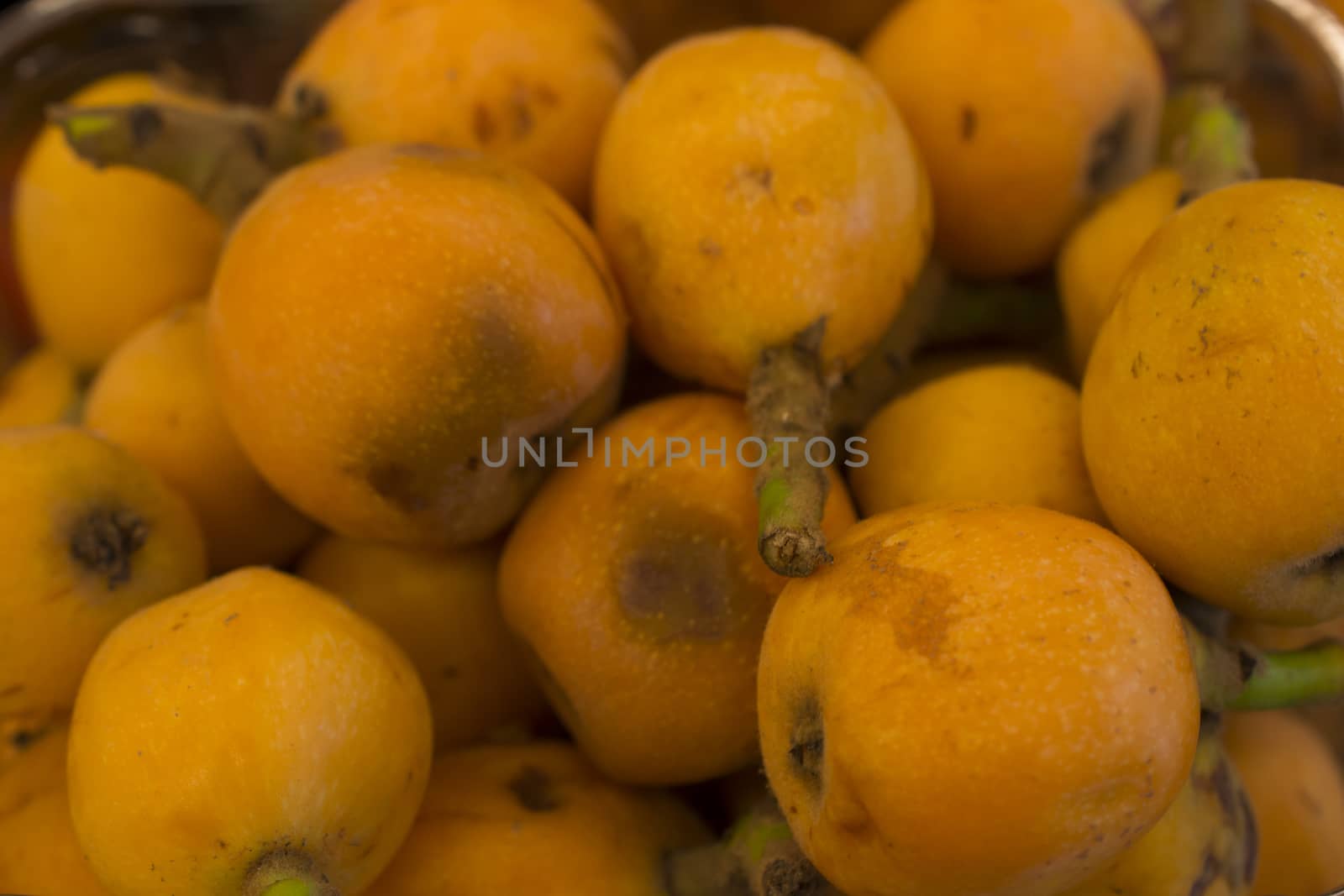 Maltese (Eriobotrya japonica), also known as the new world (known in some parts of the world as cicadas), is a tree of the family of roses and its fruit is the natural habitat of southern China.