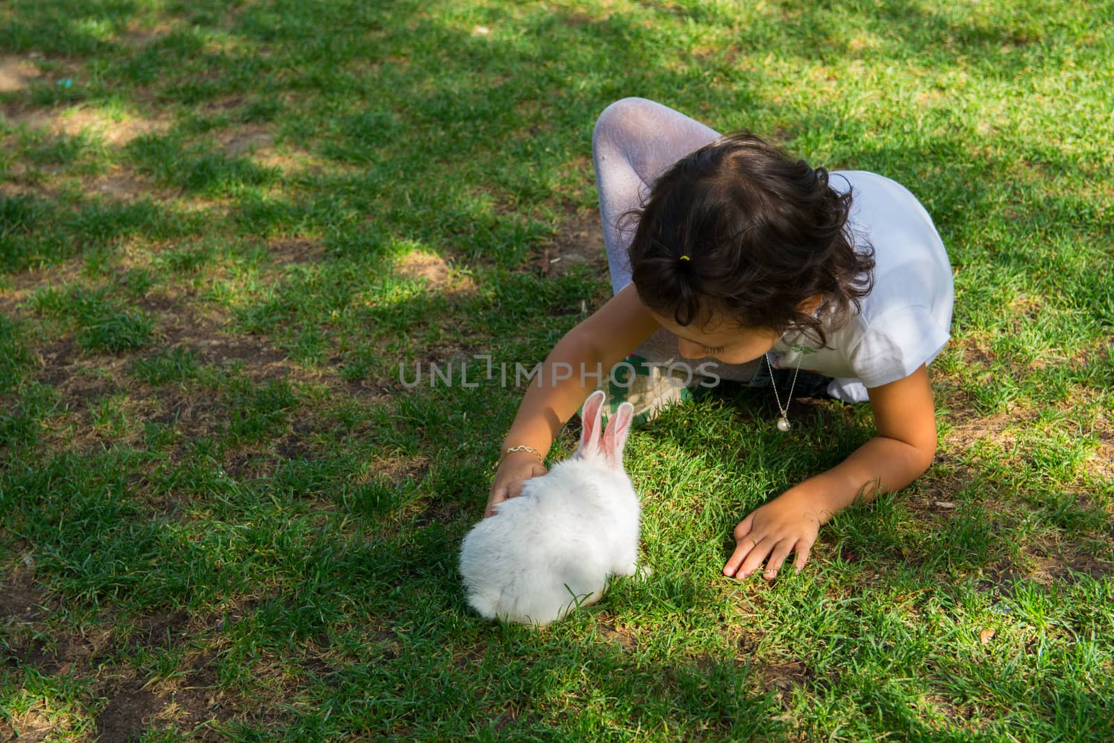 little girl playing white rabbit in the grass