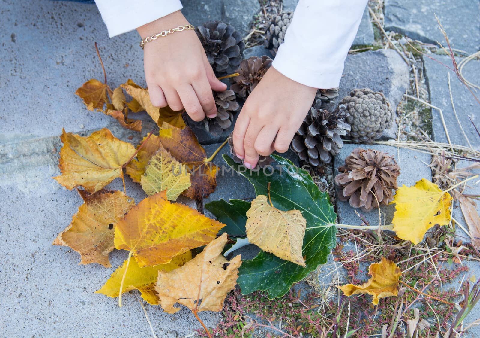 dried cones, leaves. there is still green leaves. a child is playing