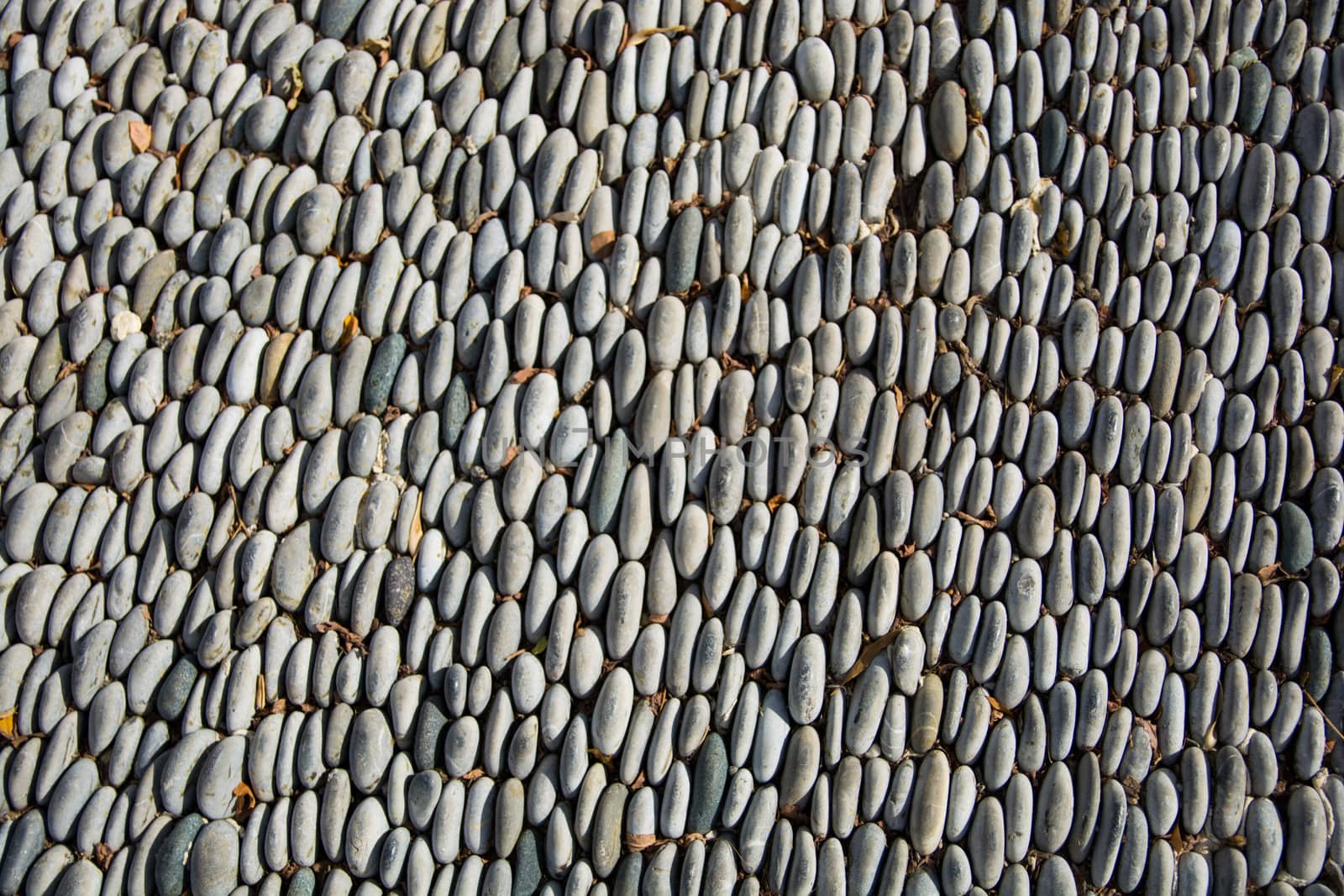 stones aligned vertically. dry leaves stuck between stones