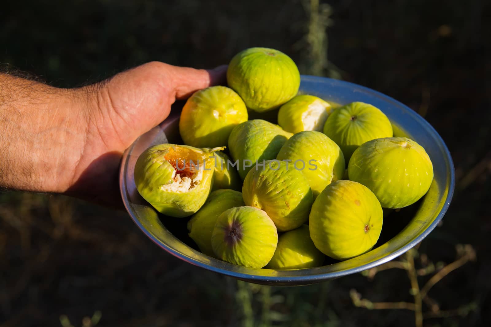 yellow lop figs. It is a very sweet fruit grown in turkey.
