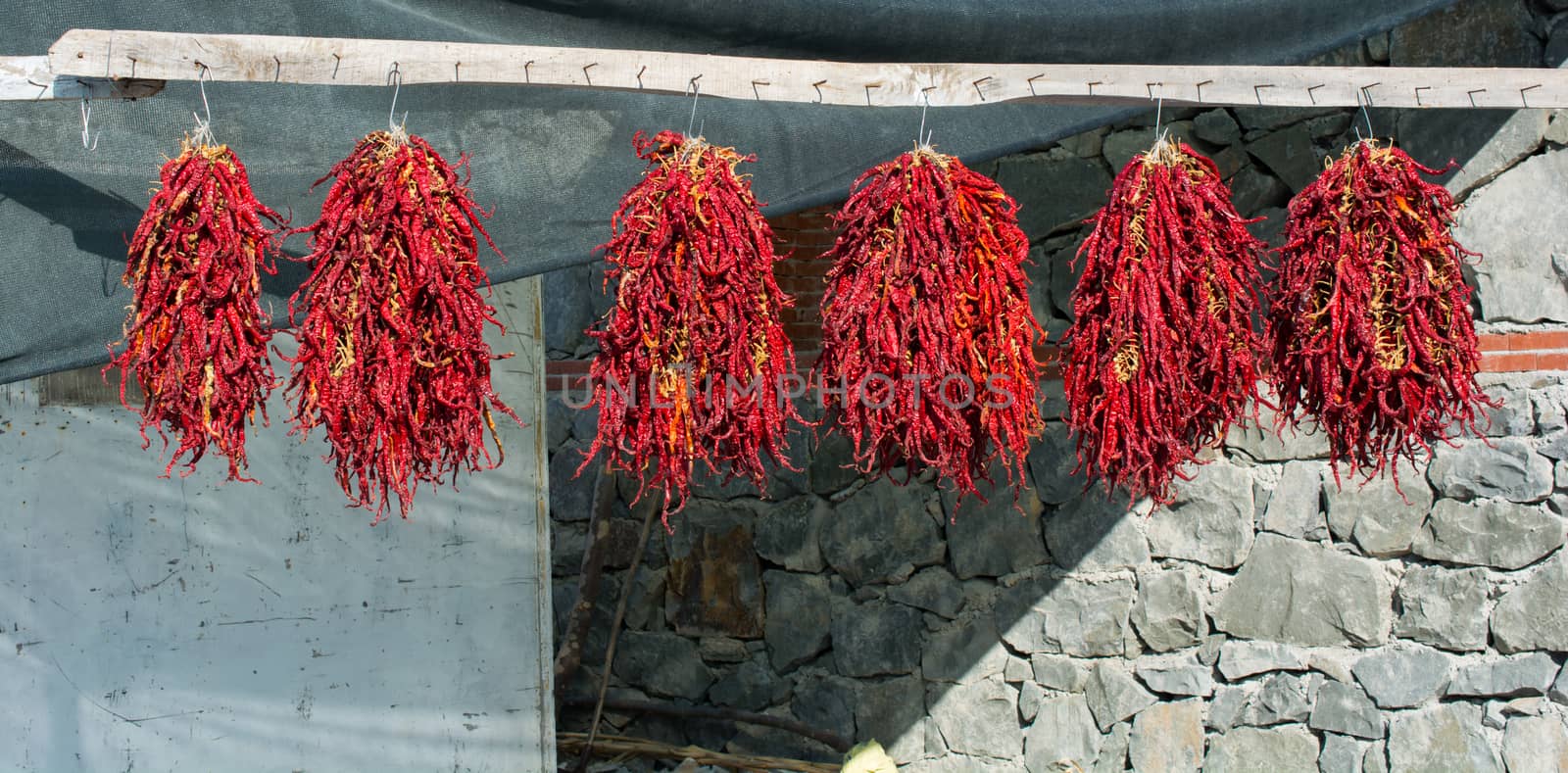 dried red peppers.dried under sunlight.in the winter season, dried to eat