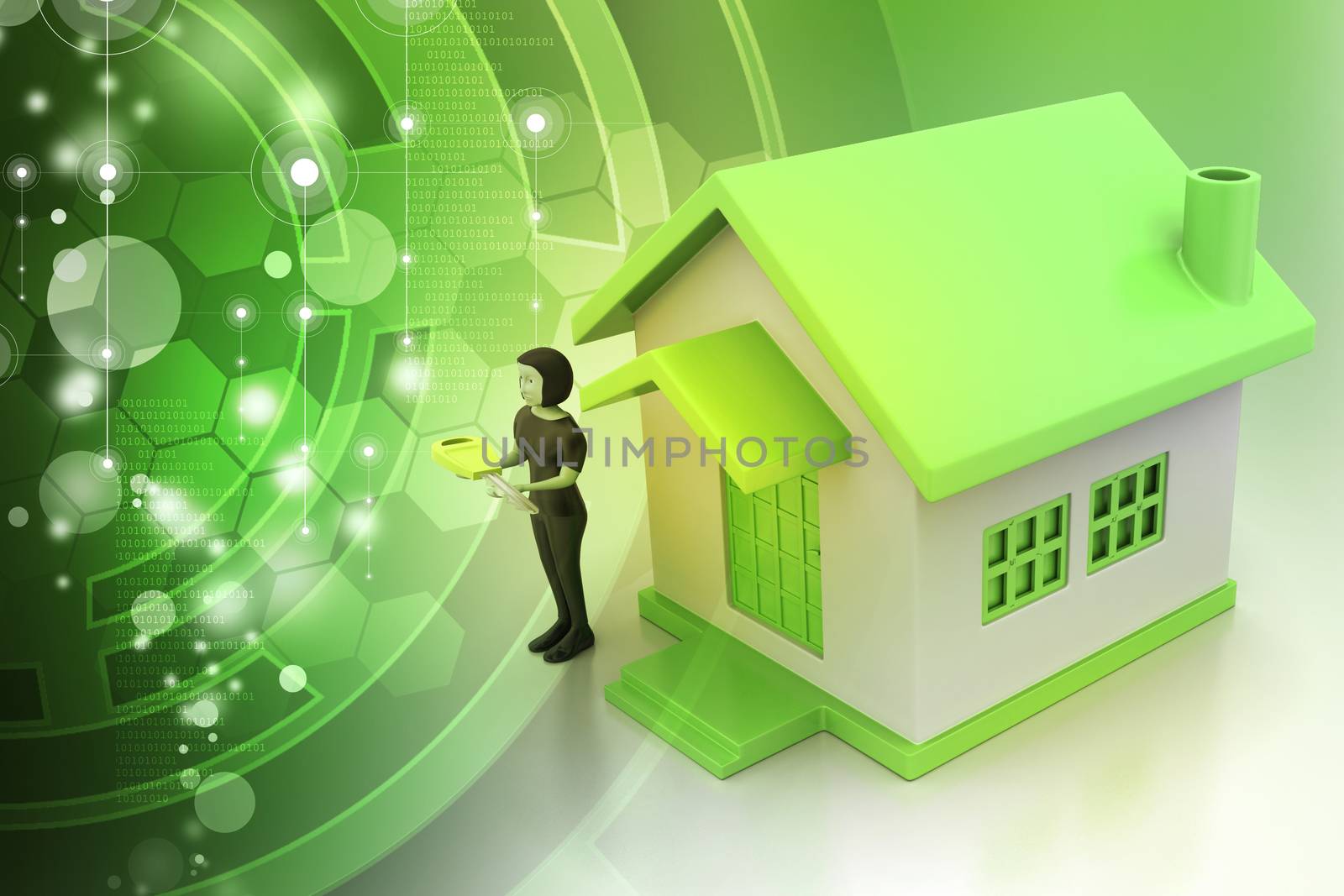 3d women with home and key