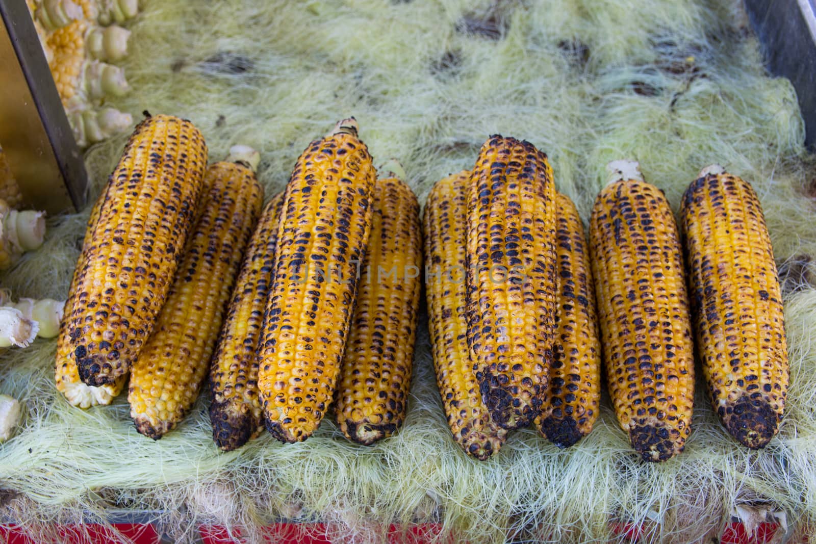 Charcoal grill sweet corns. corn cooked in barbecue barbecued corn on the roaster.
