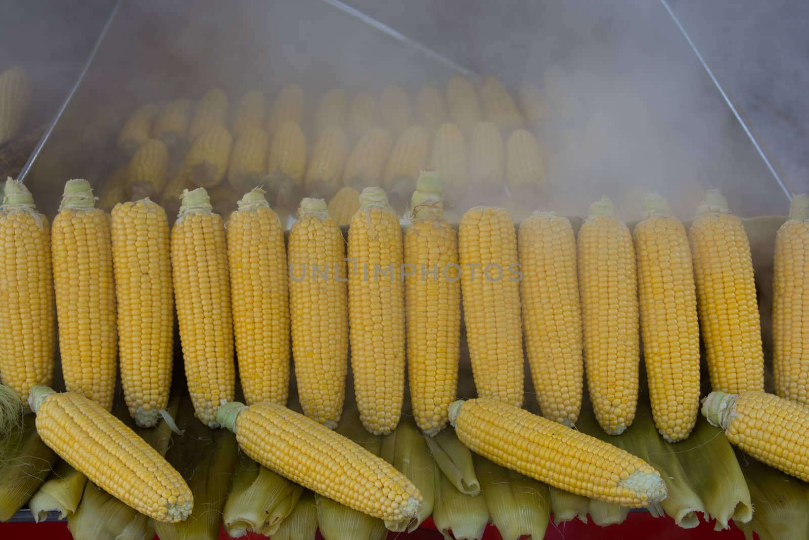 boiled corn in boiling water.cooked corn lined up on the counter. everywhere water vapor