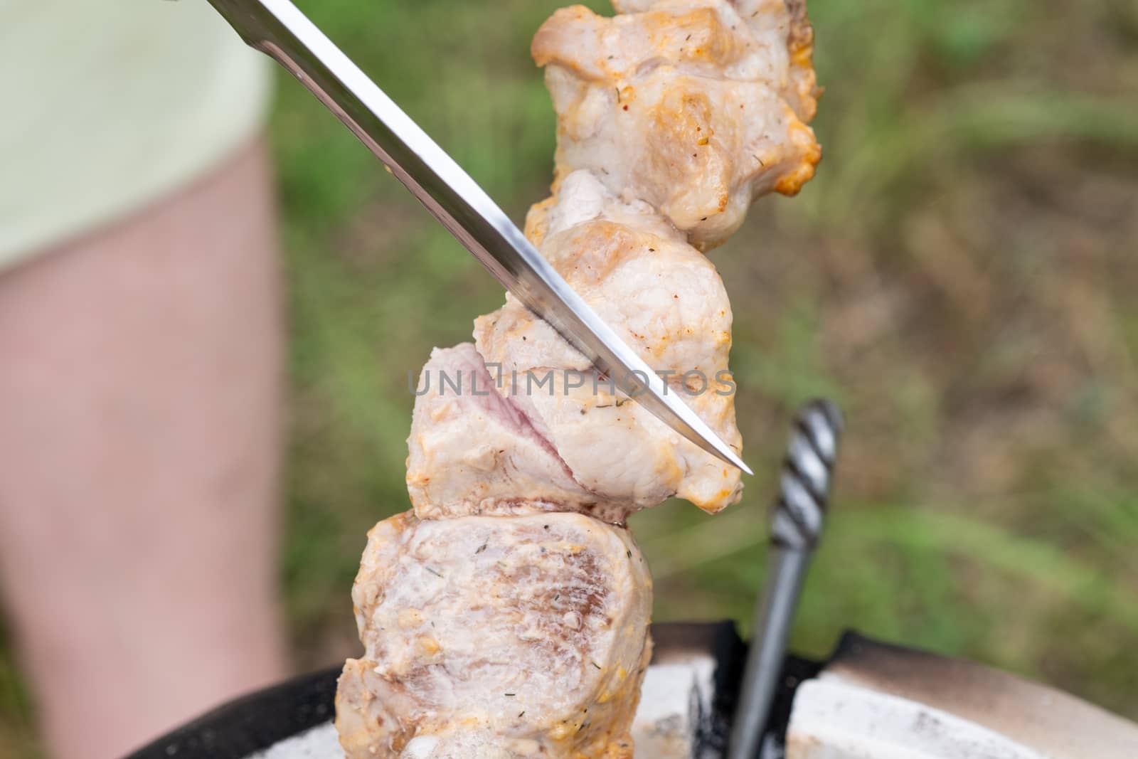 Skewers in the tandoor. Cooking kebab of meat in a tandoor