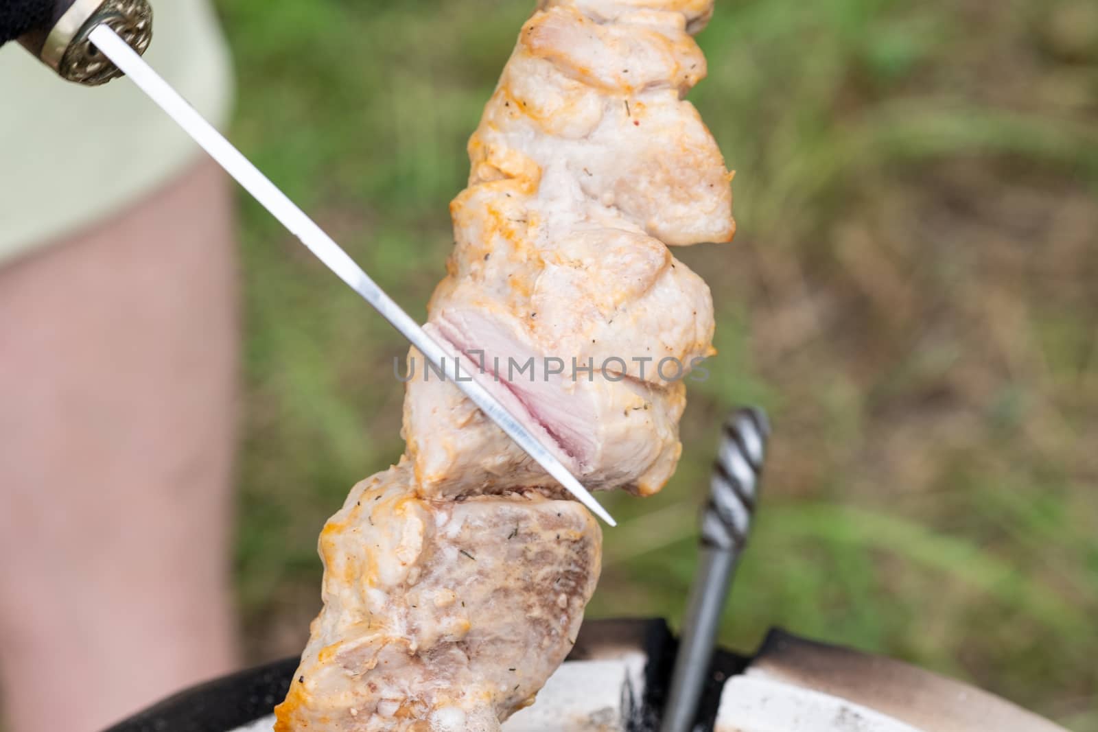 Skewers in the tandoor. Cooking kebab of meat in a tandoor