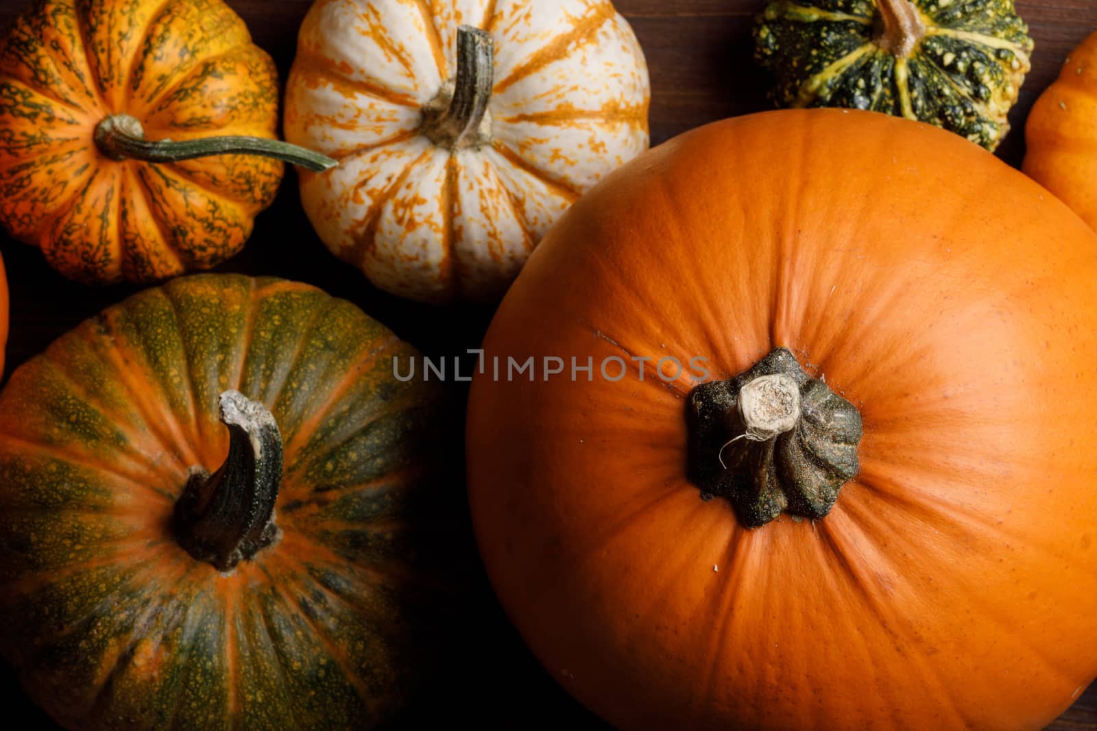 Many orange pumpkins background , Halloween concept