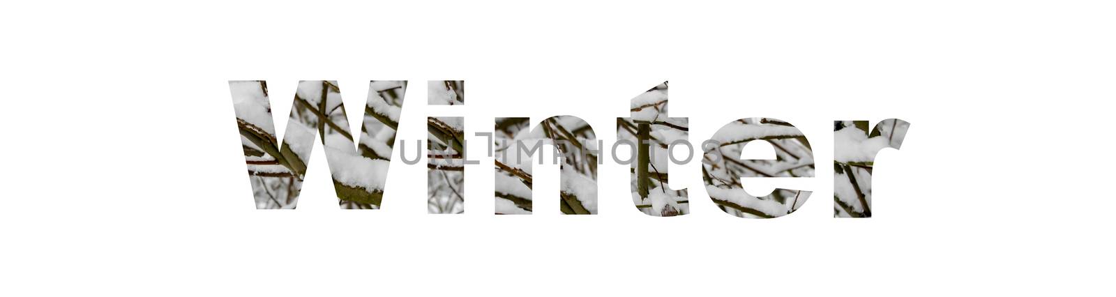 the word winter with images inside by compuinfoto