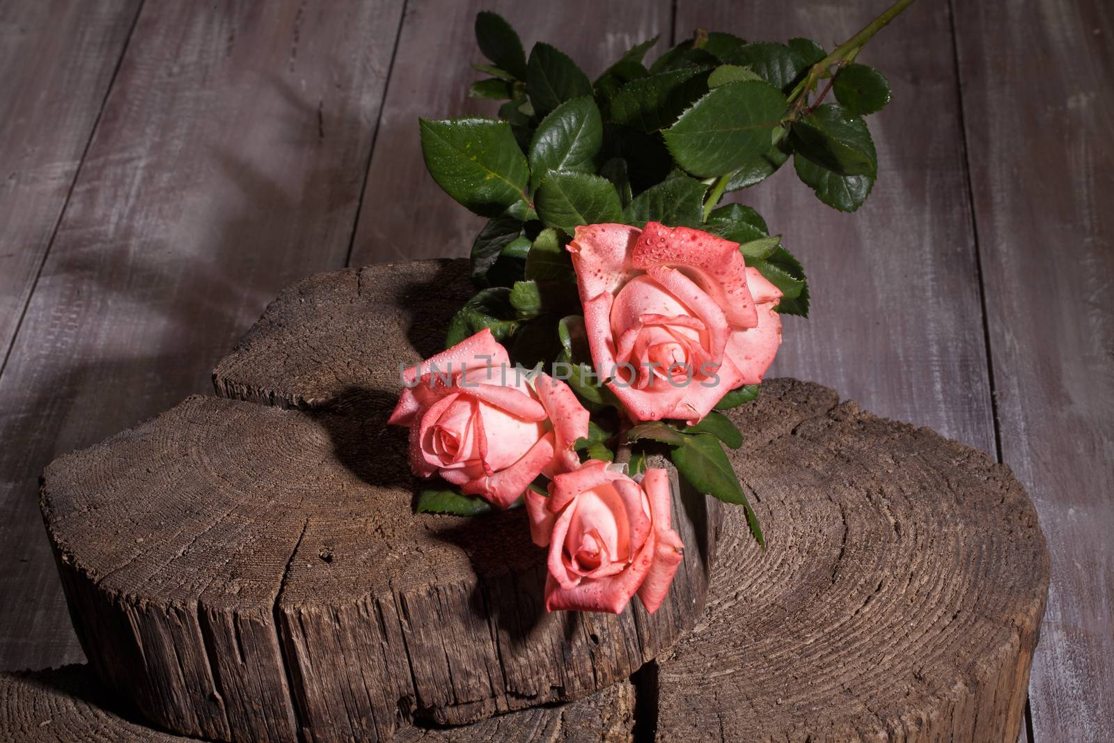 Bouquet of pink roses on an old wooden background