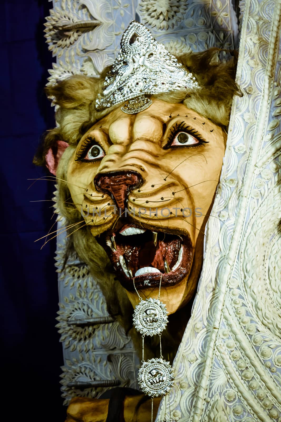 Kolkata India October 2018 - Close up portrait of Screaming horror face of King Bengal Tiger Head. Ghost cruel, Scary halloween shot in Durga Puja festival. A Lion symbolizes power to destroy evil.