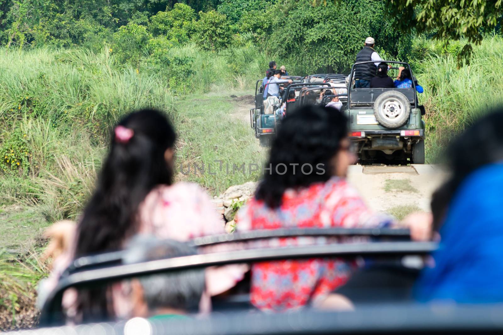 Vehicles Inside view Ranthambore National Park Rajasthan India. Group of tourists Jungle Safari Visitors entry to explore different kinds of wildlife. Wildlife nature lover taking a safari in holiday