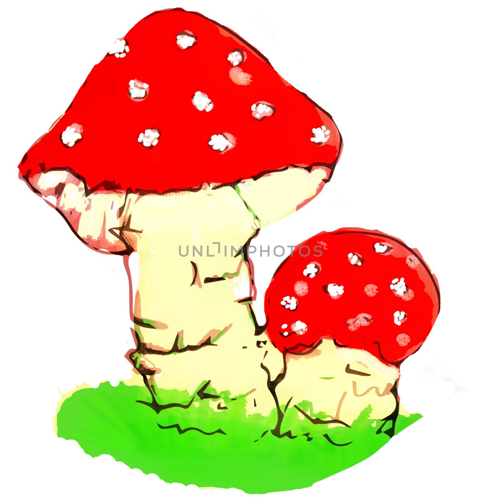 Conditionally edible mushrooms Illustration made in photoshop. by natalia_voroshilova