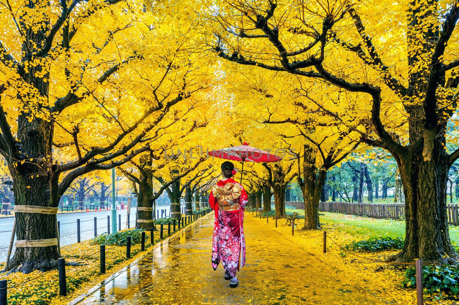 Asian woman wearing japanese traditional kimono at row of yellow ginkgo tree in autumn. Autumn park in Tokyo, Japan.