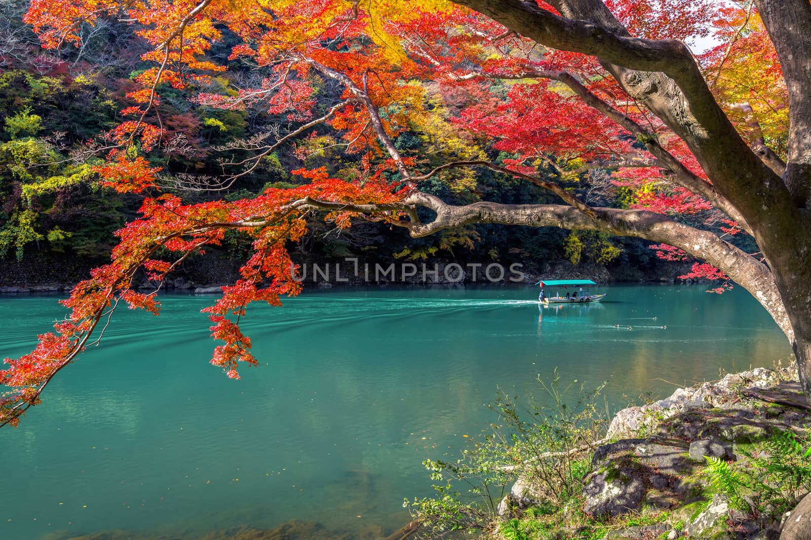 Arashiyama in autumn season along the river in Kyoto, Japan.