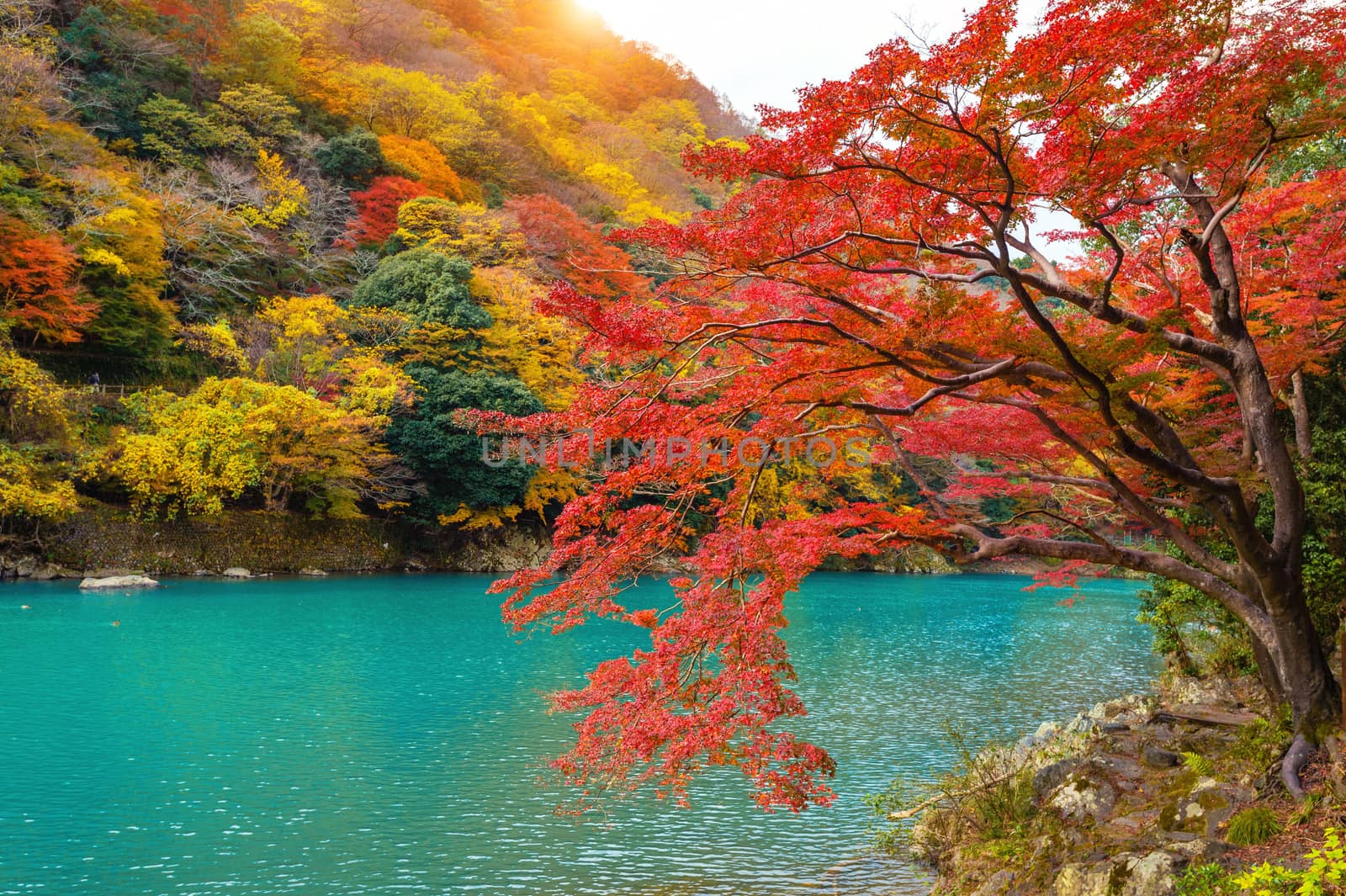 Arashiyama in autumn season along the river in Kyoto, Japan.