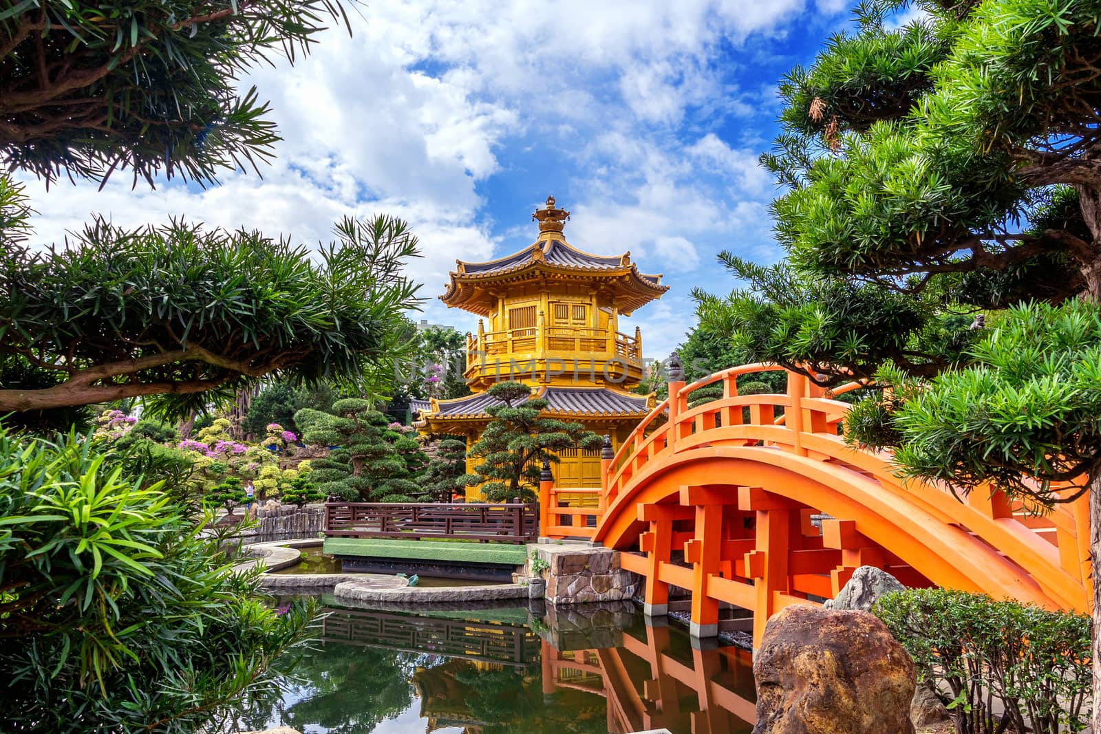 Golden Pavilion in Nan Lian Garden near Chi Lin Nunnery temple, Hong Kong. by gutarphotoghaphy