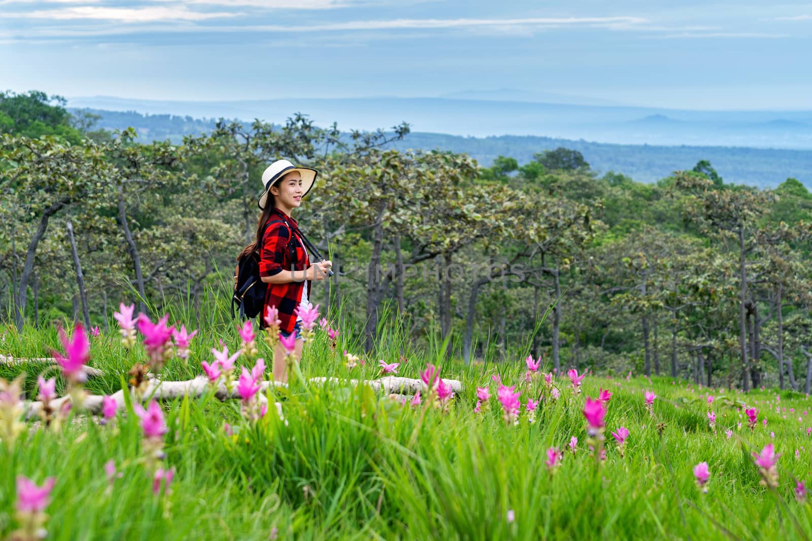 Woman traveler with backpack enjoying at Krachiew flower field, Thailand. Travel concept. by gutarphotoghaphy