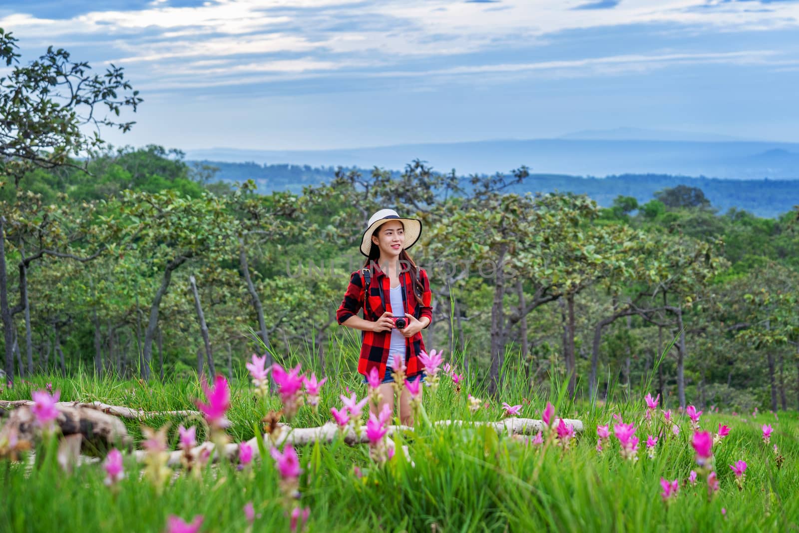 Woman traveler with backpack enjoying at Krachiew flower field, Thailand. Travel concept. by gutarphotoghaphy