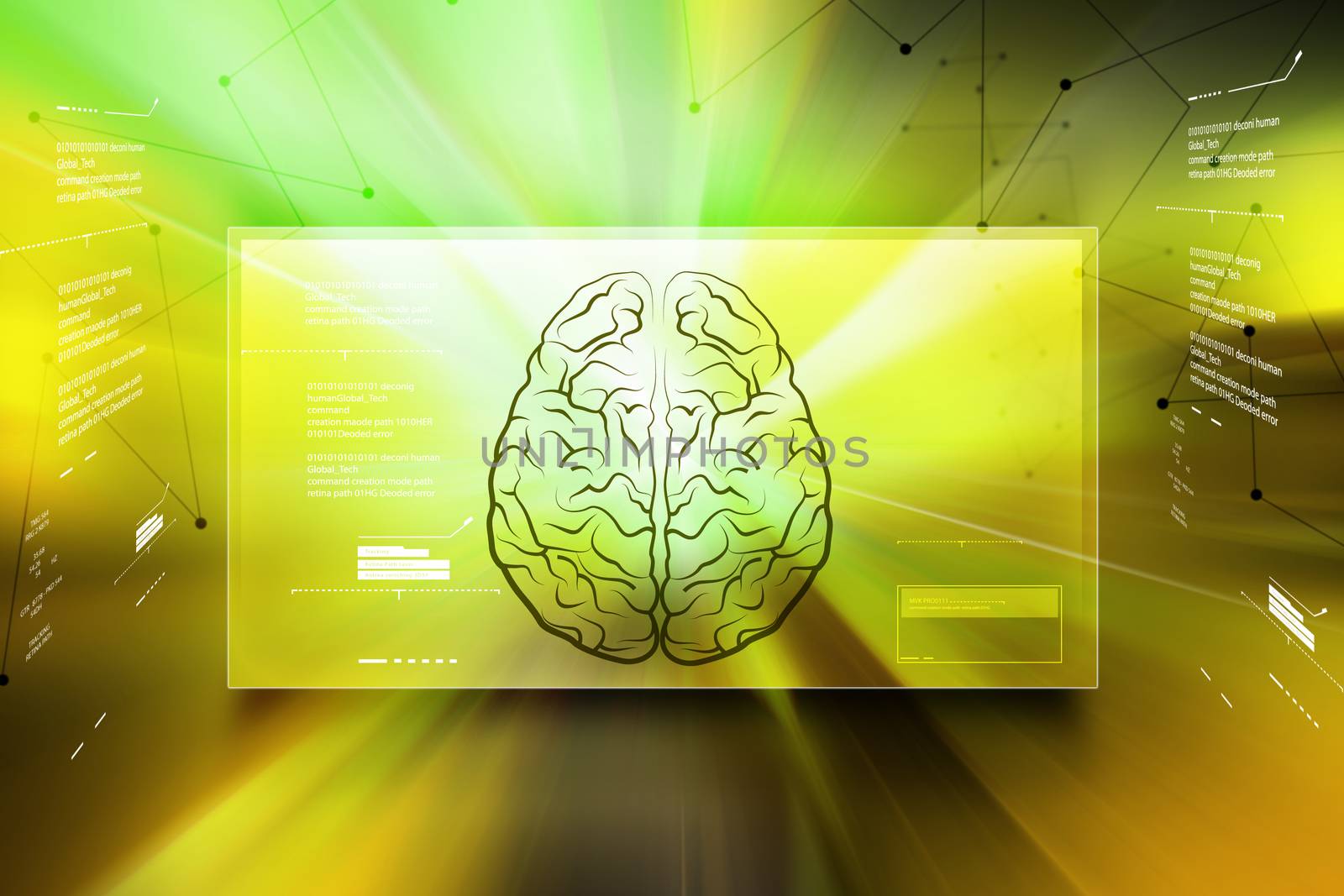 Human brain structure