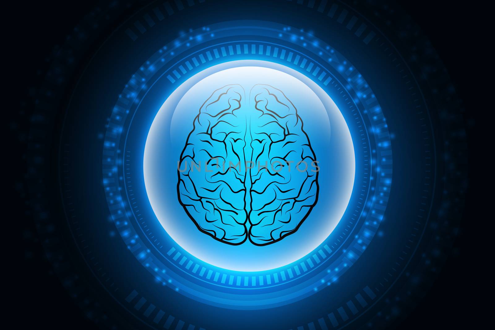 Human brain structure