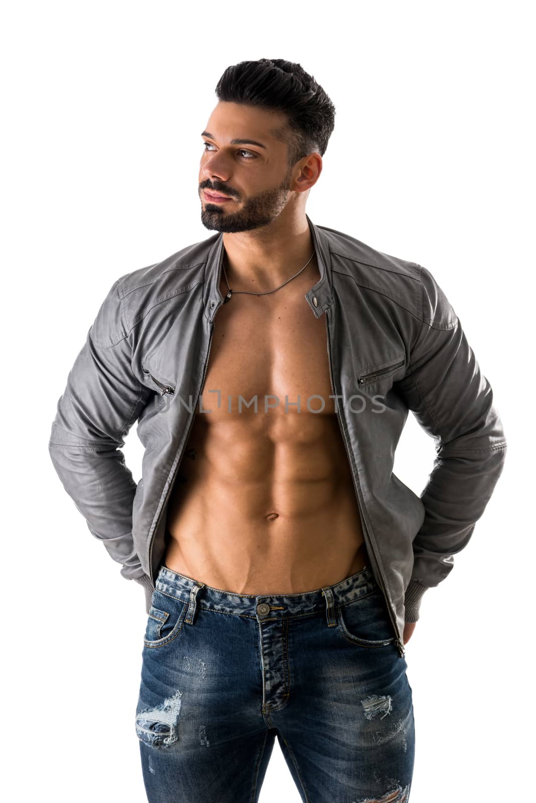 Muscular bodybuilder undressing, opening leather jacket on naked muscle torso, isolated on white background
