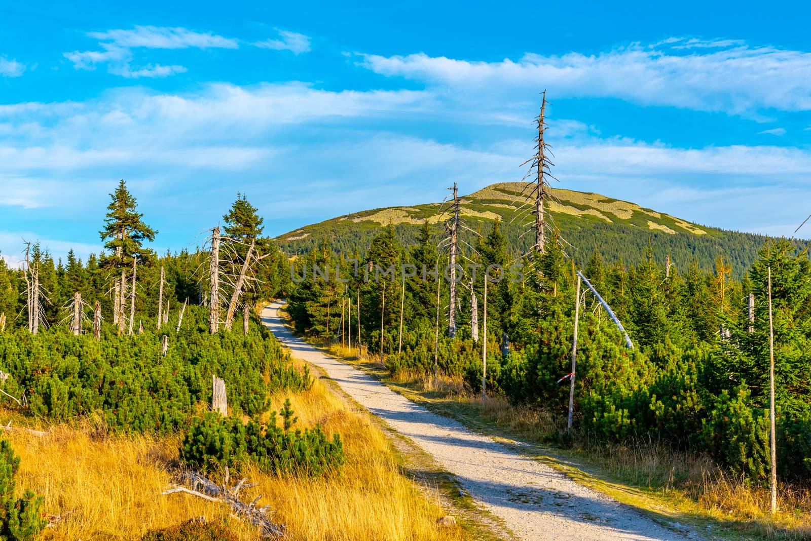 Tourist road in the middle of mountain landscape, Giant Mountains, Krkonose, Czech Republic.