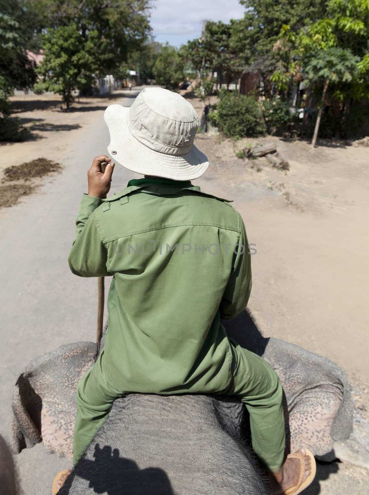 Elephant rider from the back in Vietnam