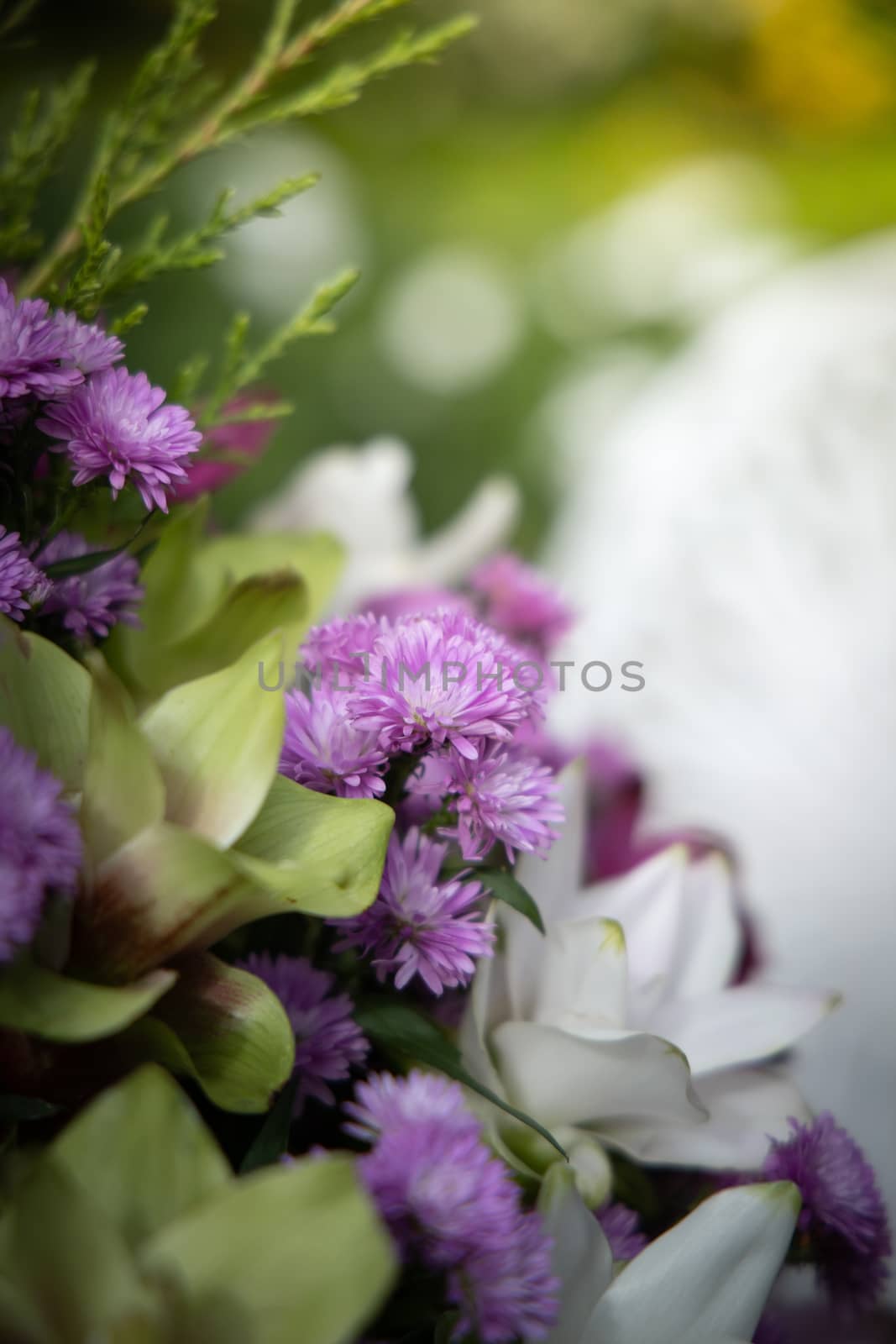 The background image of the colorful flowers, background nature