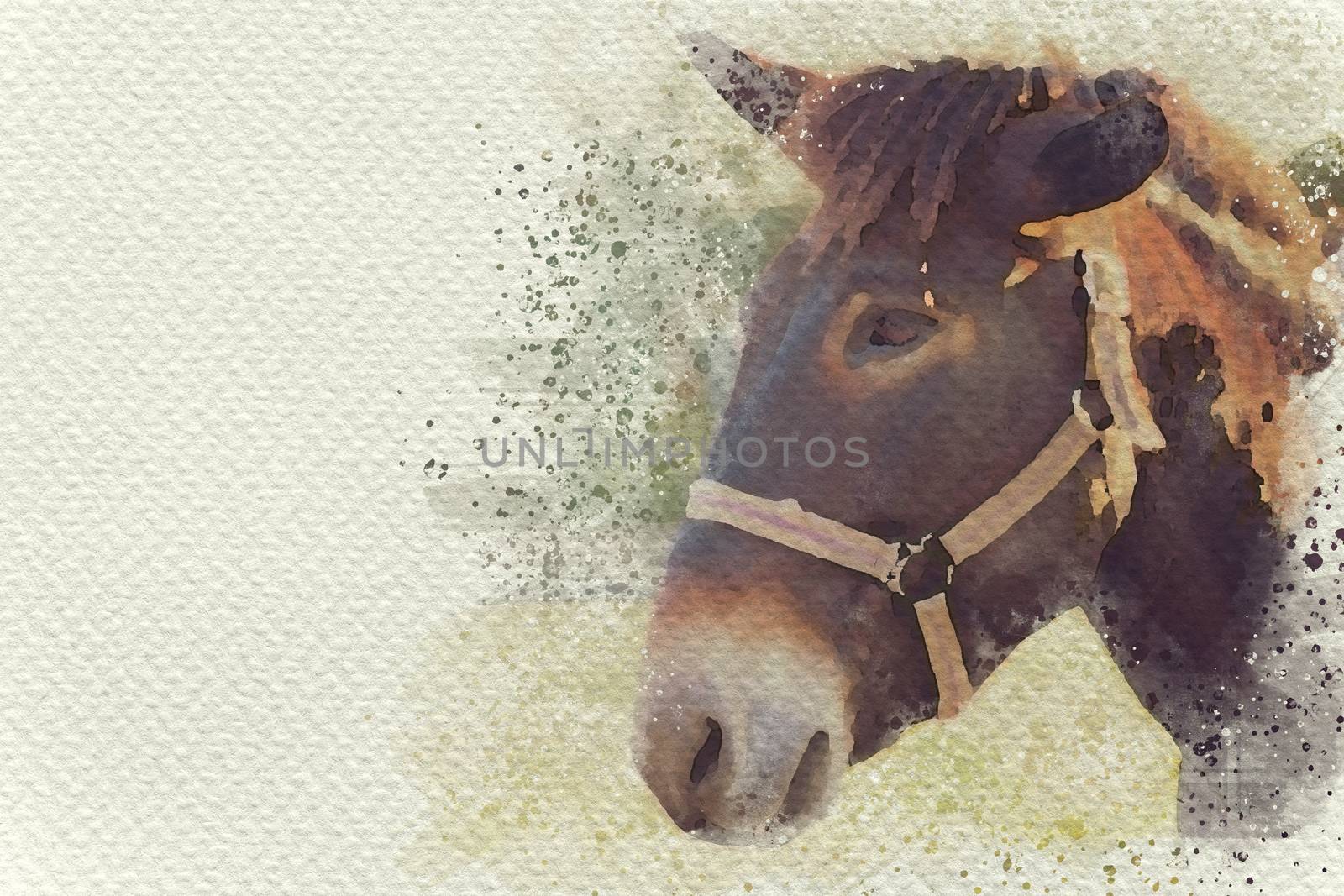 Horse in the farm. Closeup horse face. Digital watercolor painting effect. Copy space for text.