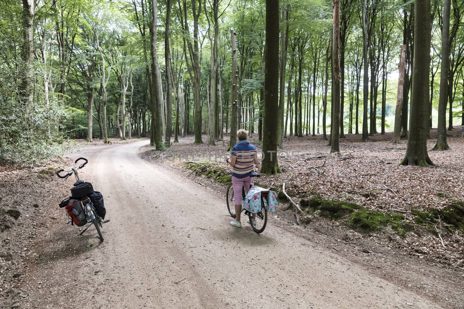 woman with bike in the dutch forest by compuinfoto