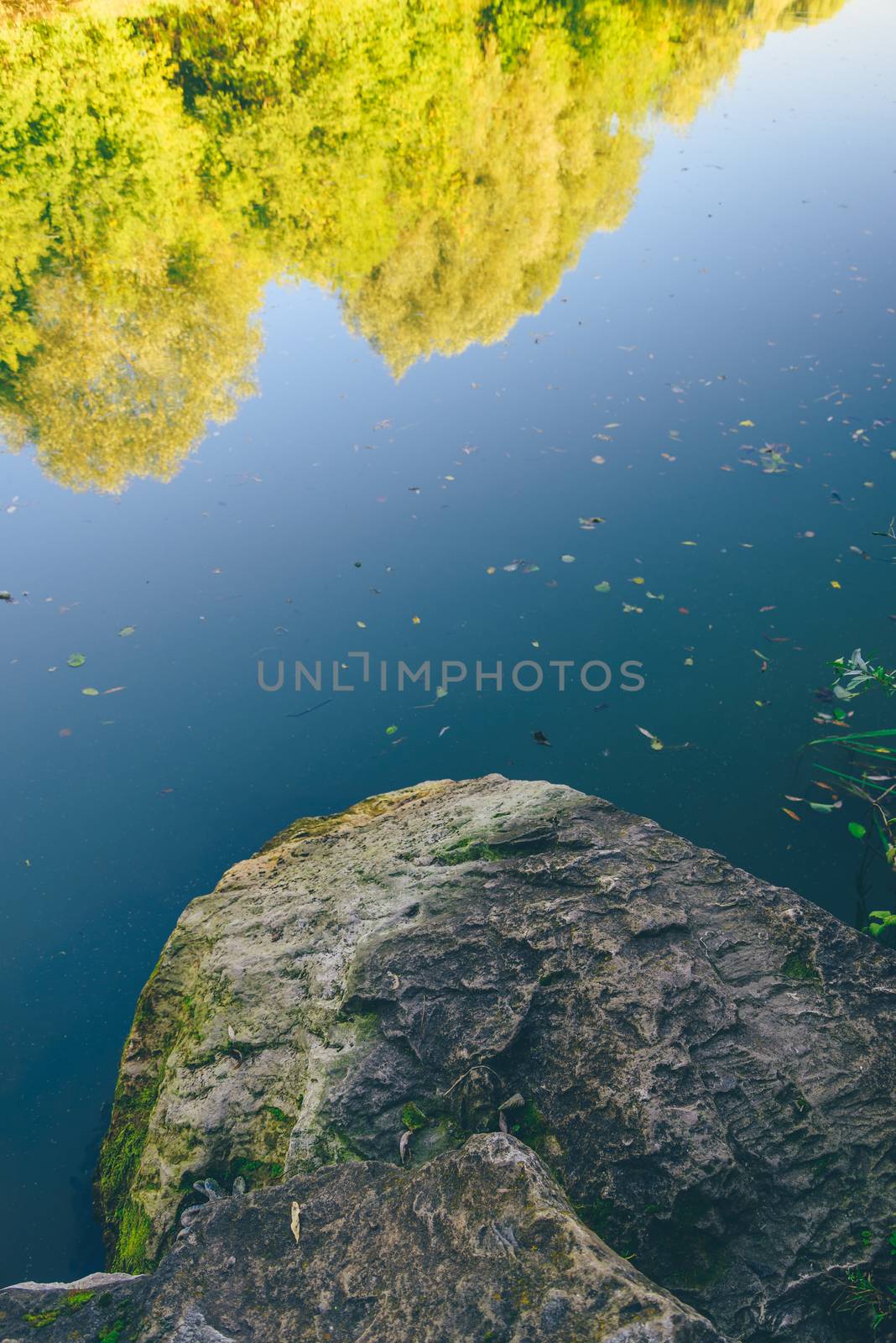 Flooded stone in front of the forest lake with reflection of yellow trees
