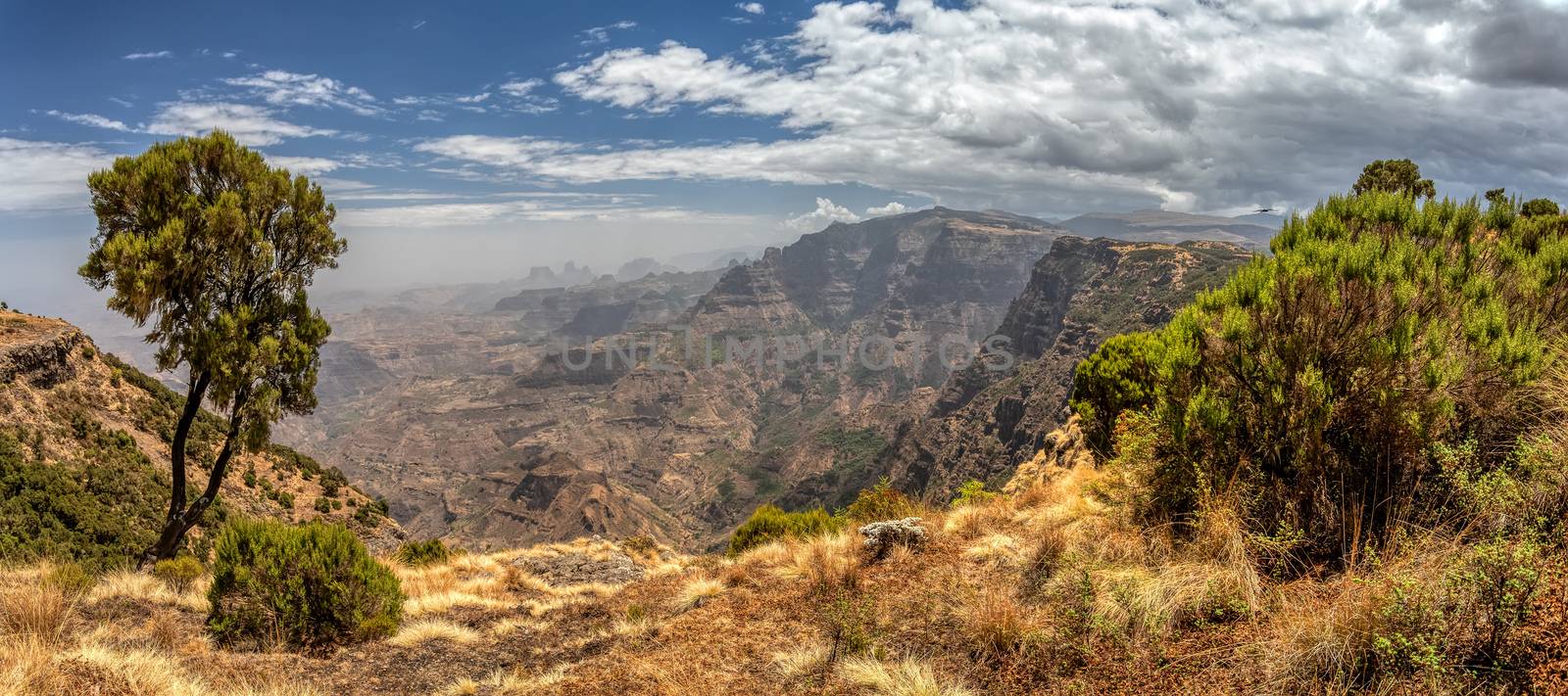 Semien or Simien Mountains, Ethiopia by artush