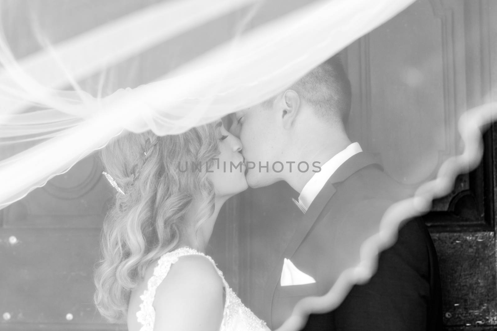 Bride and groom kisses tenderly in the shadow of a flying veil. Close up portrait of sexy stylish wedding couple kissing under white vail. Artistic black and white wedding photo.
