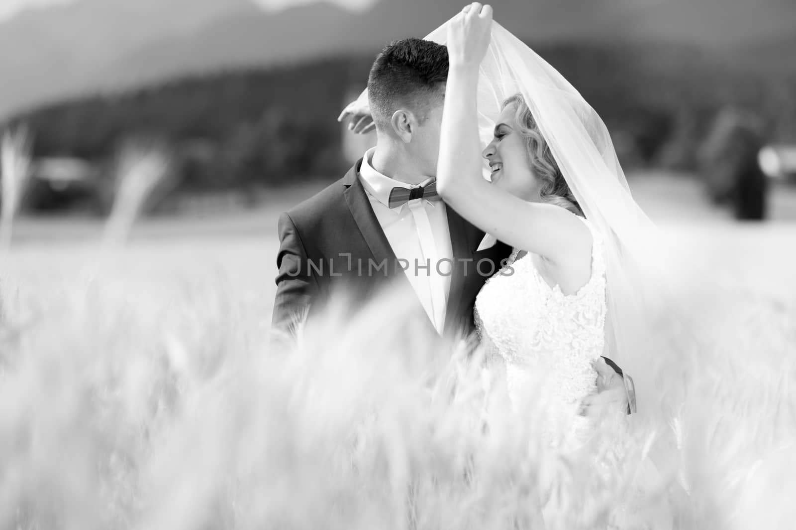 Groom hugs bride tenderly while wind blows her veil in wheat field somewhere in Slovenian countryside. Caucasian happy romantic young couple celebrating their marriage. Black and white photo.