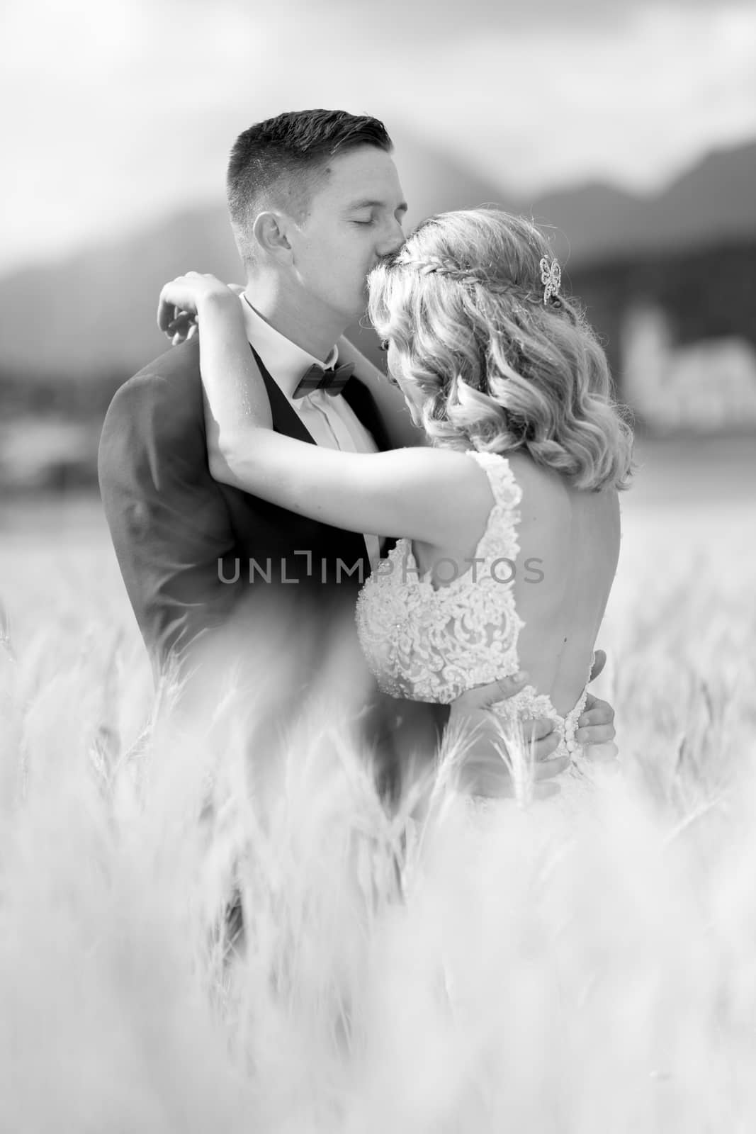 Groom hugging bride tenderly and kisses her on forehead in wheat field somewhere in Slovenian countryside. Caucasian happy romantic young couple celebrating their marriage. Black and white photo.