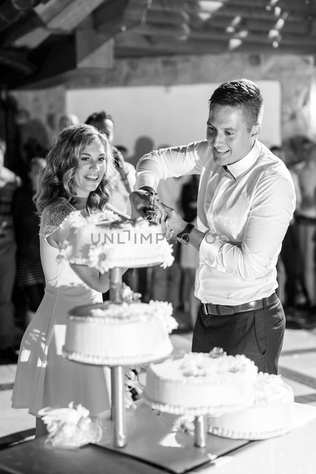 Happy bride and groom cut the wedding cake. Wedding celebration. Black and white image.