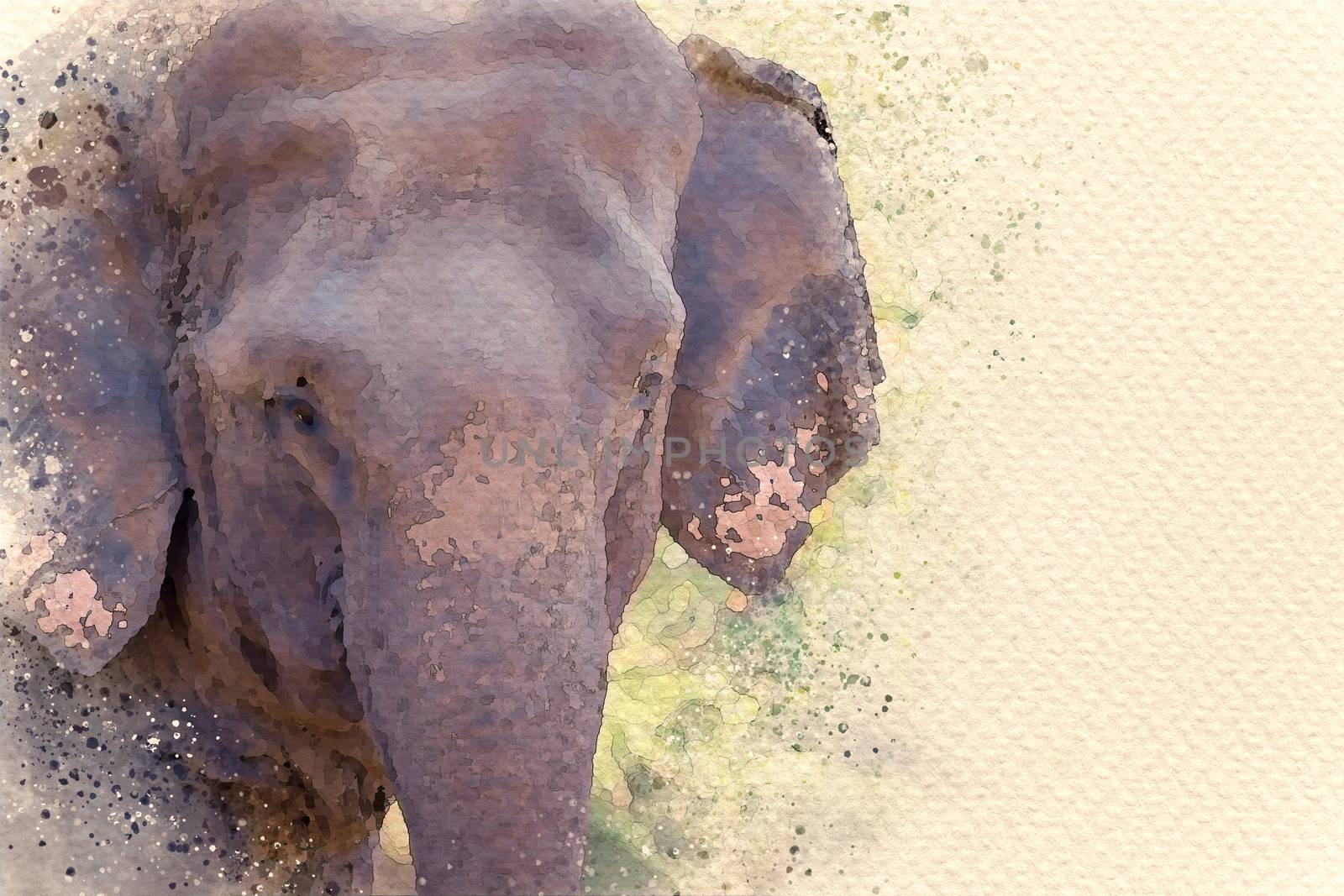 Asian elephant face in forest. Digital watercolor painting effect. Copy space for text.